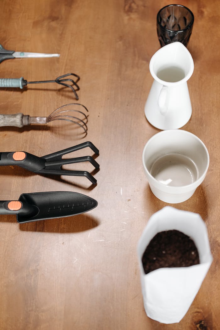 Various gardening tools and supplies arranged on a wooden table for indoor plant care.